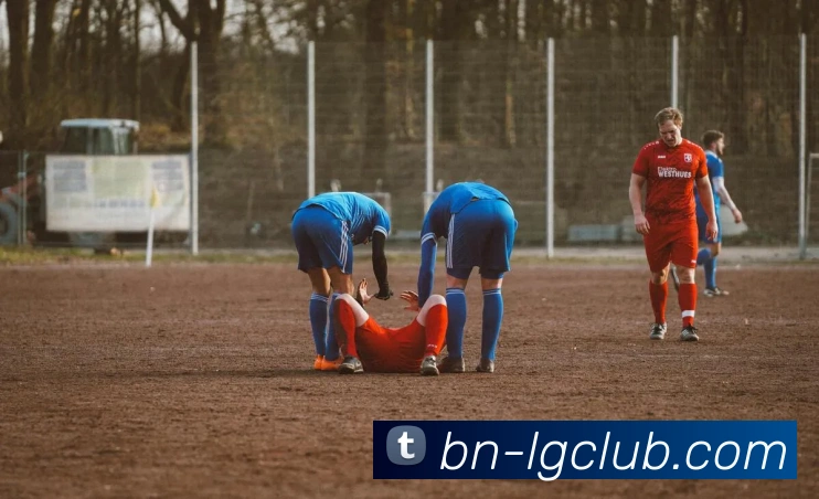 老哥俱乐部官网平台生态图